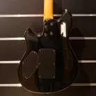 PEAVEY - WOLGANG SPECIAL USA 2001 AVEC CASE ORIGINE