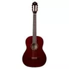 ORTEGA - R131SNWR R131 CEDRE MASSIF