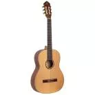 ORTEGA - R131SN R131 CEDRE MASSIF