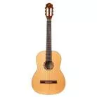 ORTEGA - R131SN R131 CEDRE MASSIF