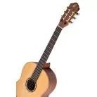 ORTEGA - R131SN R131 CEDRE MASSIF