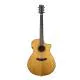 BREEDLOVE - PFO22CEA PERFORMER PRO CONCERTO CE RW