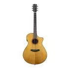 BREEDLOVE - PFO22CEA PERFORMER PRO CONCERTO CE RW