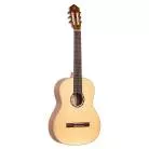 ORTEGA - R121 EPICEA SILLET 52