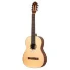 ORTEGA - R121 EPICEA SILLET 52