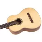 ORTEGA - R121 EPICEA SILLET 52