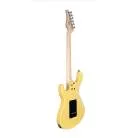 CORT - G250SFVWH