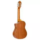 ORTEGA - RQ38 REQUINTO EPICEA