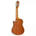 ORTEGA - RQ38 REQUINTO EPICEA