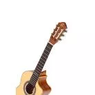 ORTEGA - RQ38 REQUINTO EPICEA