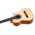 ORTEGA - RQ38 REQUINTO EPICEA