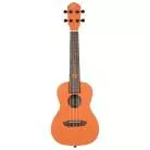 ORTEGA - RUHW CONCERT HALLOWEEN ORANGE