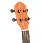 ORTEGA - RUHW CONCERT HALLOWEEN ORANGE