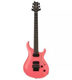 PRS GUITARS Tekton Floyd...