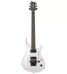 PRS GUITARS Tekton Floyd...