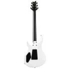 PRS GUITARS Tekton Floyd (Black satin neck) White Holoflake