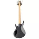 PRS GUITARS Tekton SVN (Nat neck) Black Tourmaline