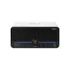 MOOER - F40ILI-SW AMPLI F40I LI 40W SNOWFALL WHITE