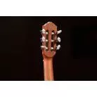 ORTEGA - RGL5 GUITARLELE   EPICEA