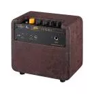 ORTEGA - PTWO AMPLI 12W
