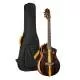 ORTEGA - RTP-LTD TOURPLAYER LTD