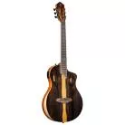 ORTEGA - RTP-LTD TOURPLAYER LTD