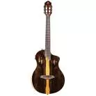 ORTEGA - RTP-LTD TOURPLAYER LTD