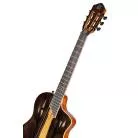 ORTEGA - RTP-LTD TOURPLAYER LTD
