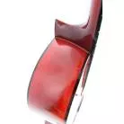 ESTEVE - GK-SP-RD-SC GIPSYKINGS EPICEA RED