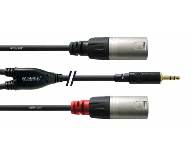 Cordial - câble Y Jack 3.5 ST / 2 x XLR M 3m INTRO