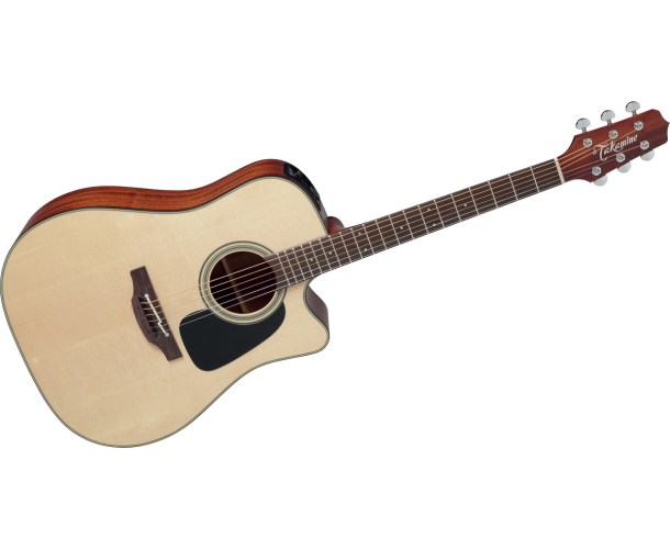 TAKAMINE - P2DC