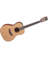 TAKAMINE - P3NY