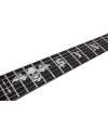 SCHECTER - SYNYSTER GATE CUSTOM SIGNATURE FLOYD