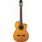 Guitare Classique TAKAMINE