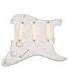 EMG - DG20 DAVID GILMOUR