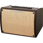 Amplis Electro-Acoustique IBANEZ