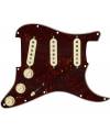 PRE-WIRED STRAT® PICKGUARD, CUSTOM SHOP FAT 50'S SSS TORTOISE