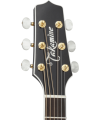 TAKAMINE - P6N-BSB BROWN SUNBURST